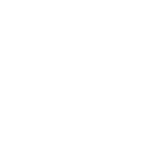 Party Necklace