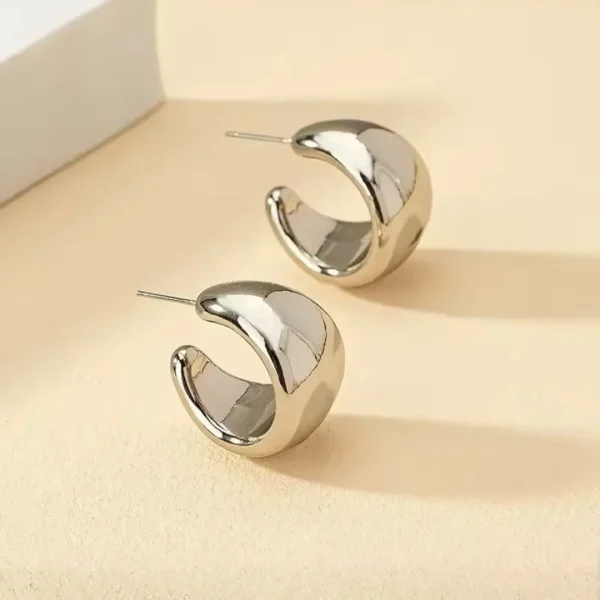 Silver HOOP Earrings for girls and women at PASSIONATE BANGLADESH at a very affordable and cheap price. Beauty with silver dazzling plastic earrings pair. Party on at disco.