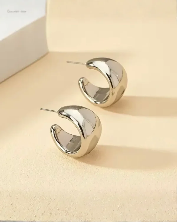 Silver HOOP Earrings for girls and women at PASSIONATE BANGLADESH at a very affordable and cheap price. Beauty with silver dazzling plastic earrings pair. Party on at disco.